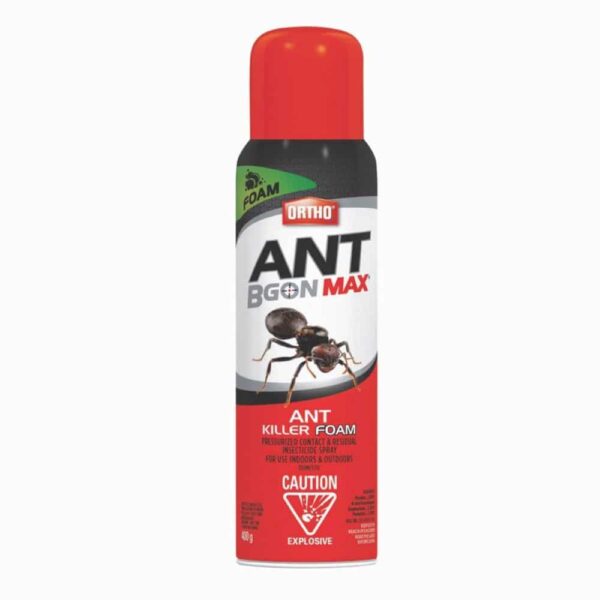 Ant BGon Max Foam