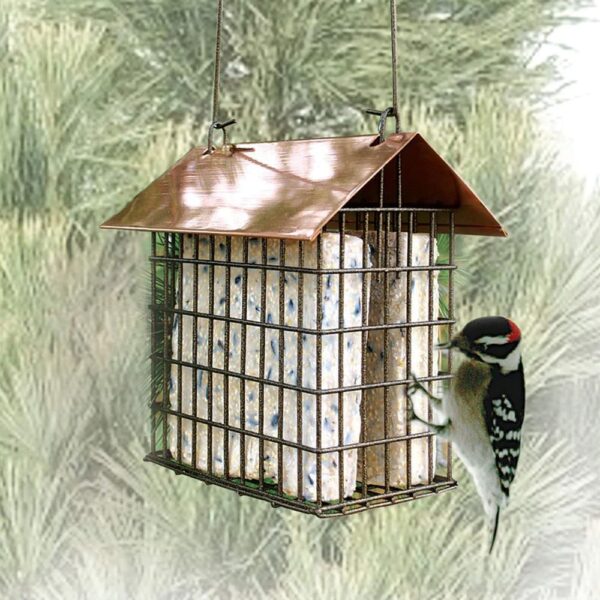 Coppertop Suet Feeder