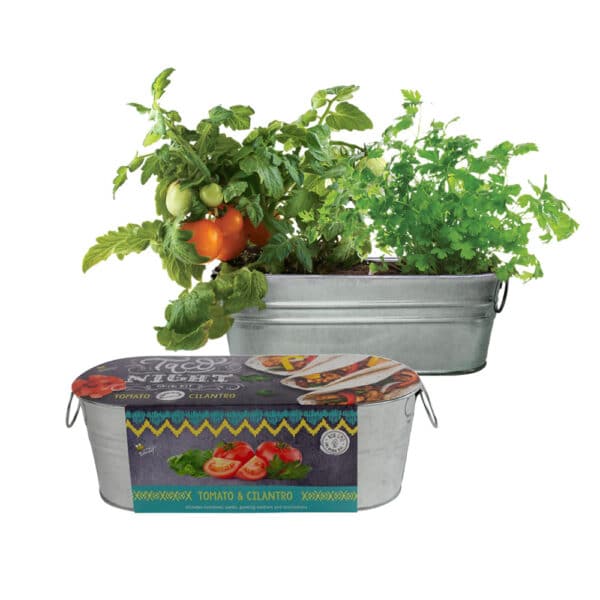 Taco Night Windowsill Grow Kit