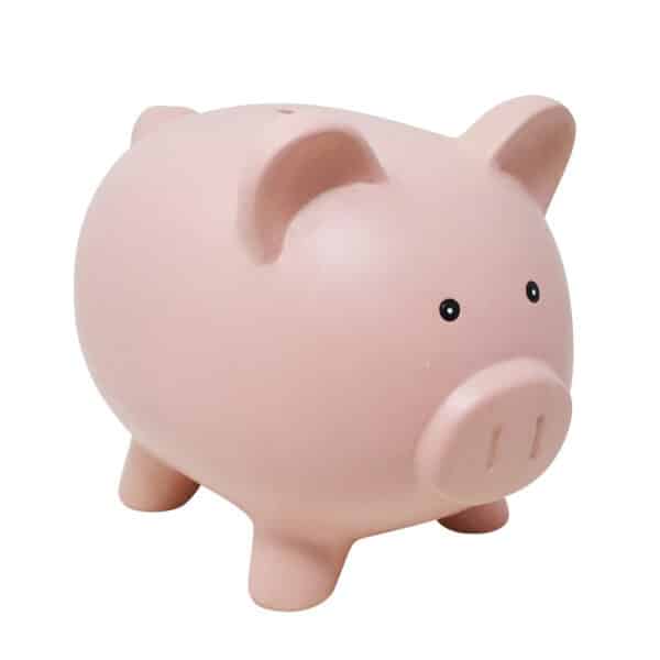 Ceramic Piggy Bank